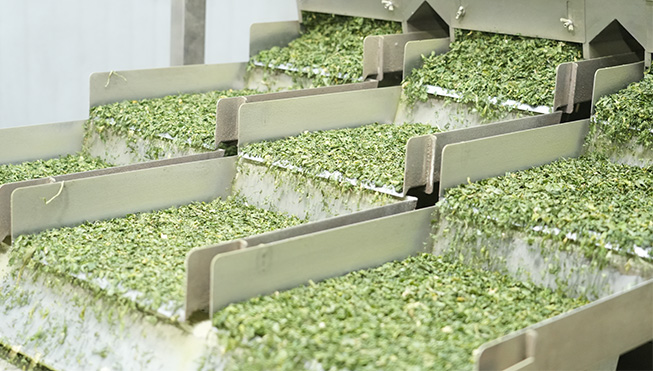 Xinghua Vegetabilske Foods Co., Ltd.