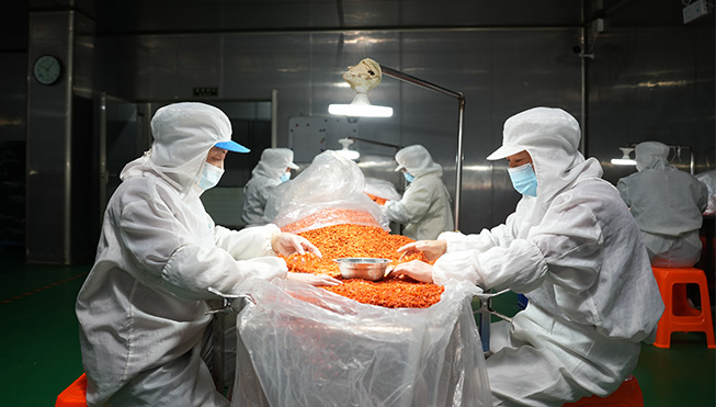 Xinghua Vegetabilske Foods Co., Ltd.